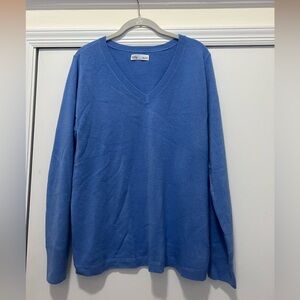 Super Cozy Blue V-Neck Sweater